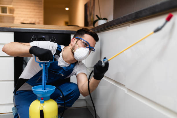 Best Pest Control for Businesses  in Petersburg, IL
