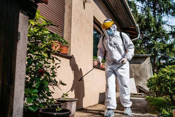 Best Wasp Removal Services  in Petersburg, IL