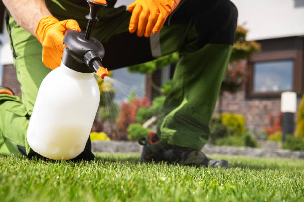 Wildlife Control Services in Petersburg, IL