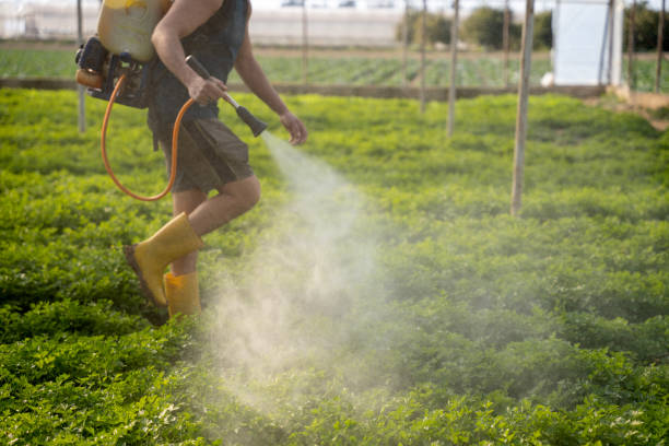 Reliable Petersburg, IL Pest Control Solutions