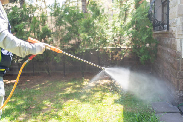 Best Pest Removal Services  in Petersburg, IL