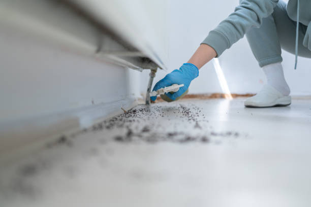 Best Wildlife Control Services  in Petersburg, IL